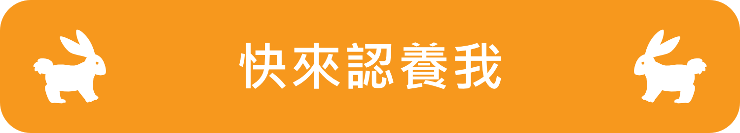認養兔寶