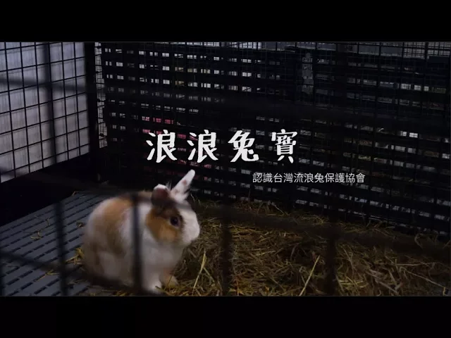 協會環境影片封面